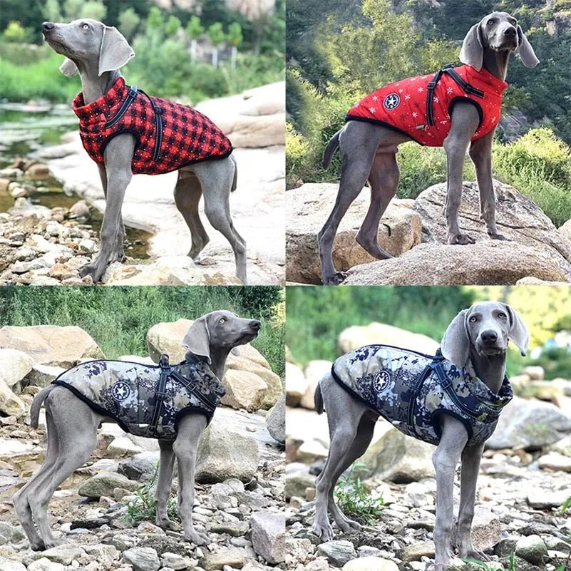 CozyTail® - Waterproof Dog Jacket